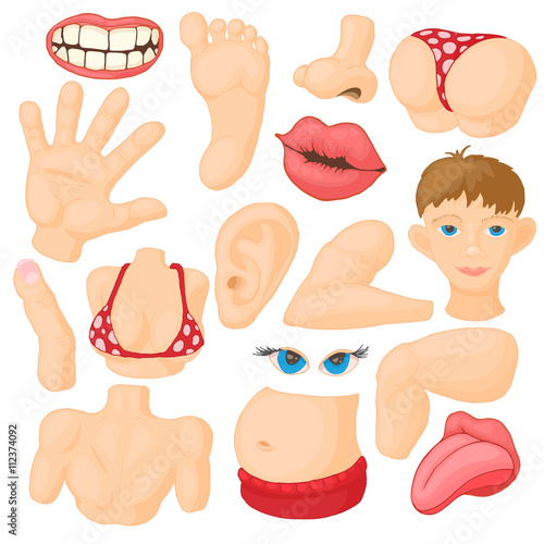 Human body parts icons set