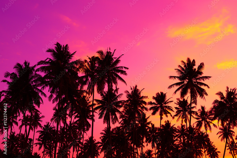 Obraz premium Tropical palm trees silhouettes at sunset