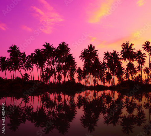 Fototapeta Naklejka Na Ścianę i Meble -  Tropical palm trees silhouettes with reflection in calm water at sunset