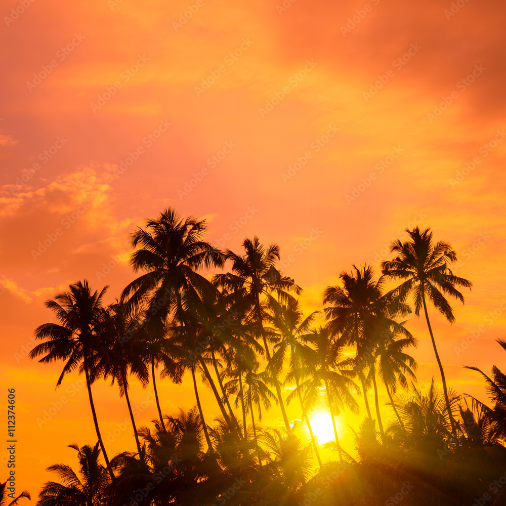 Warm orange sunrise on tropical beach with sun rays throught palm trees silhouettes