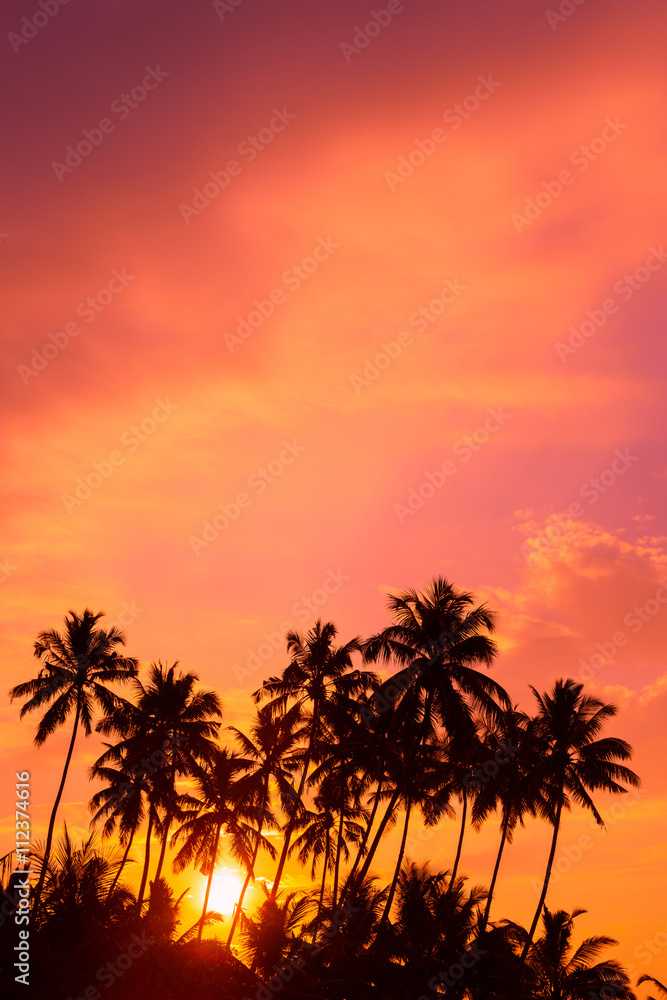 Warm orange sunrise on tropical beach with palm trees silhouettes