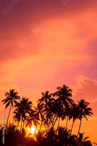 Warm orange sunrise on tropical beach with palm trees silhouettes © nevodka.com