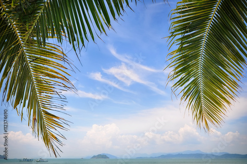 Coconut palm leaves on sky background, happy summer holiday concept