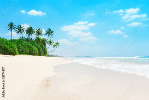 Palm trees and green tropical bushes on ocean beach