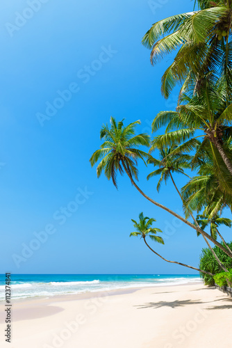 Fototapeta Naklejka Na Ścianę i Meble -  Tropical beach with palm trees on ocean shore and clean sand at sunny day