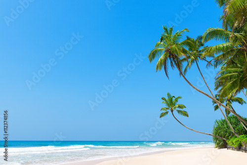 Idyllic tropical beach with clean white ocean sand and palm trees over the water with clear blue sky