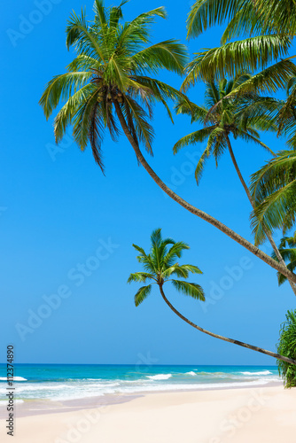 Fototapeta Naklejka Na Ścianę i Meble -  Idyllic tropical beach with clean white ocean sand and coconut palm trees over the water