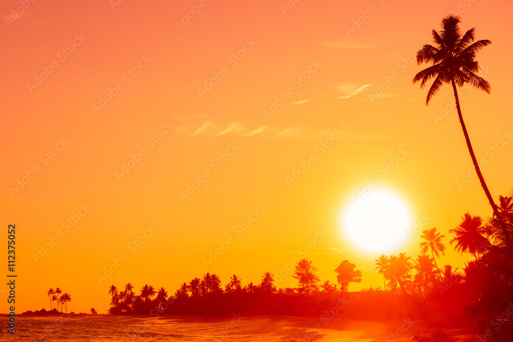 Sunset on tropical beach with palm tree silhouette and shining sun circle