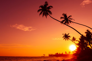 Sunset on tropical beach with palm trees silhouettes and shining sun circle