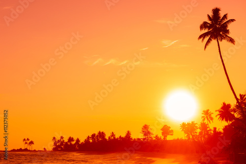 Fototapeta Naklejka Na Ścianę i Meble -  Sunset on tropical beach with palm tree silhouette and shining sun circle
