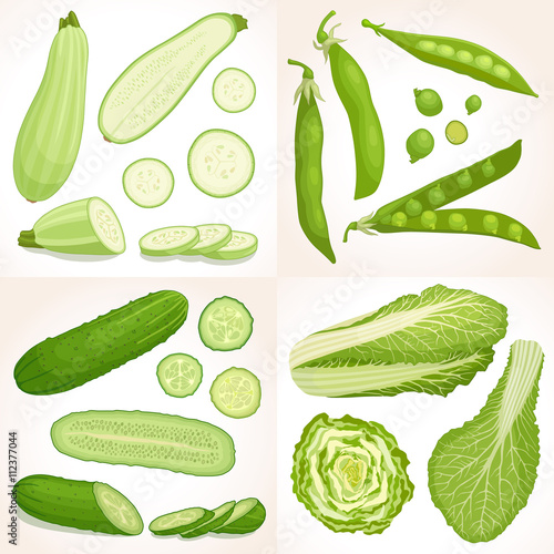 Set of green vegetables. Vector illustration. Collection of cabbage, peas, cucumber and zucchini. Healthy food.