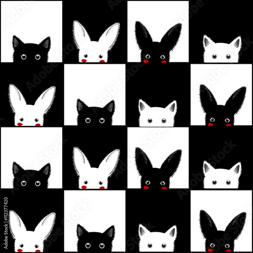 Black White Cat Rabbit Ches...