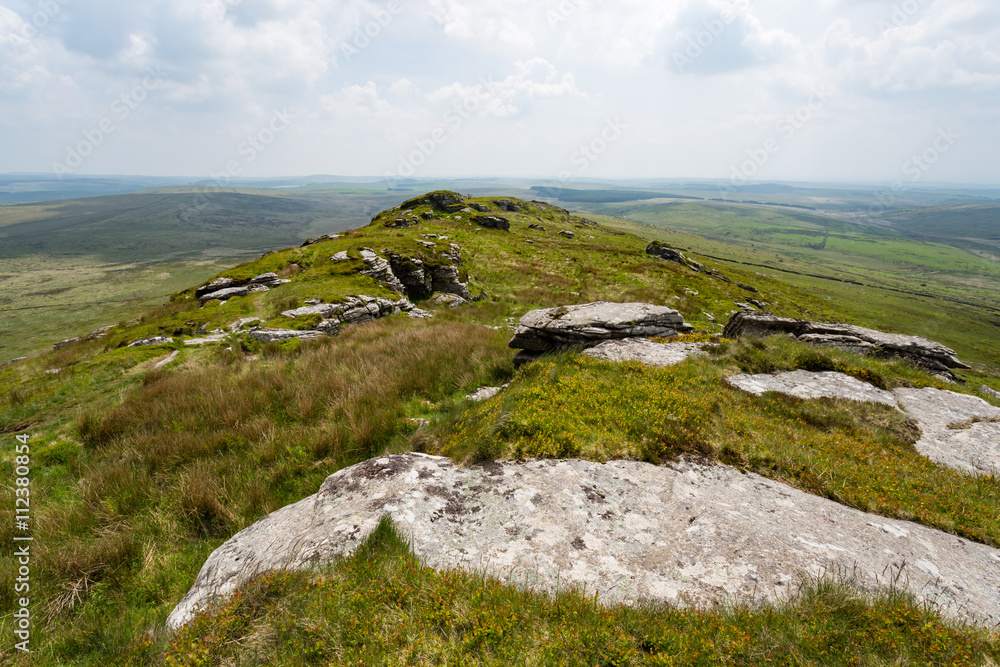 brown will cornwall bodmin moor england uk. Highest peaking the county.