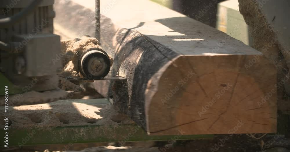 sawmill machine cutting down a tree branch into a wooden beam sawmill machine cutting down a tree branch into a wooden beam
