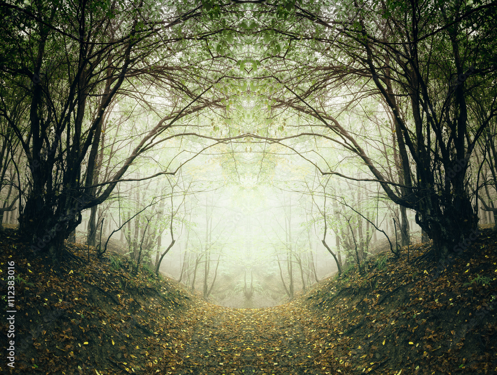 surreal forest path - obrazy, fototapety, plakaty 