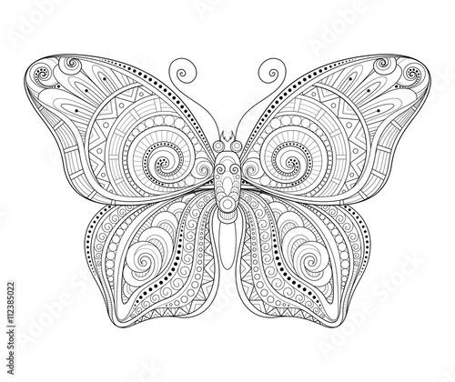 Photography Vector Decorative Ornate Butterfly