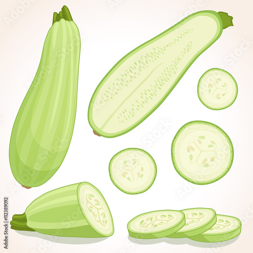 Fresh zucchini isolated on background. Vector illustration. Squash whole, half and sliced.