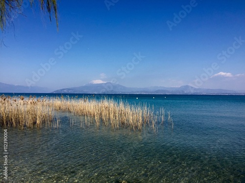 Riva lago © ellenlocatelli