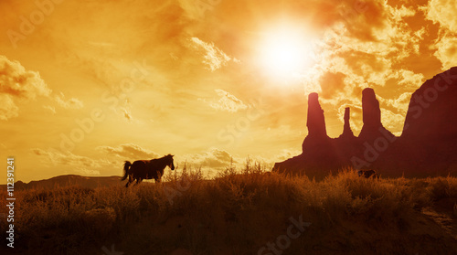 Fototapeta Naklejka Na Ścianę i Meble -  silhouette of horses grazing in monument valley
