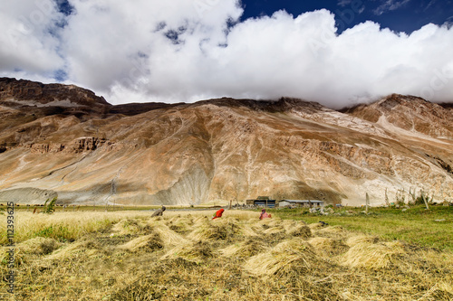 Drass village, Kargil, Ladakh, Jammu and Kashmir, India photo