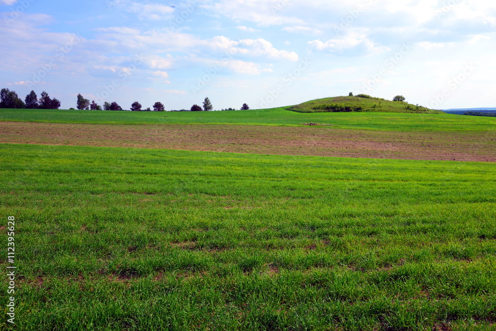 calm agricultural scene with green field and small hill