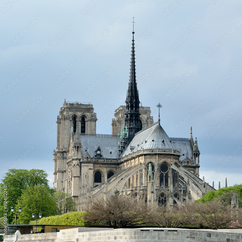 La cathédrale Notre-Dame de Paris sur l'île de la cité en format carte postale
