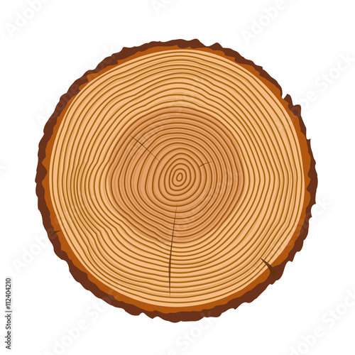 Tree rings, tree trunk rings isolated, wood ring texture, tree rings vector illustration, wooden rings icon with splits and cracks, cracked rings of a tree design