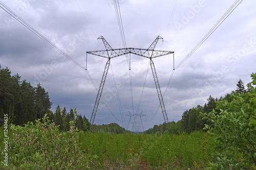 ЛЭП, лес