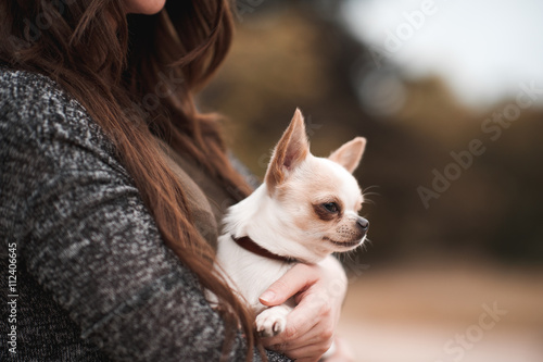 Woman holding chihuahua pet outdoors photo