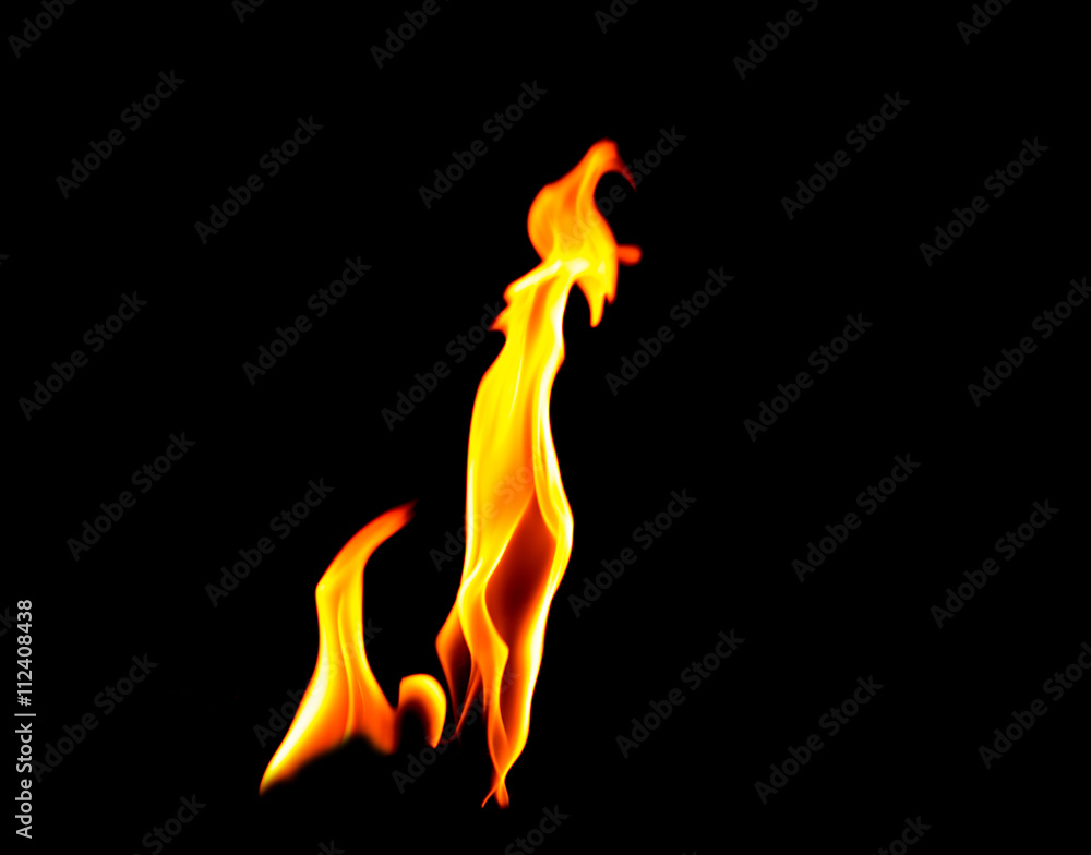 Fototapeta premium Fire flames on a black background