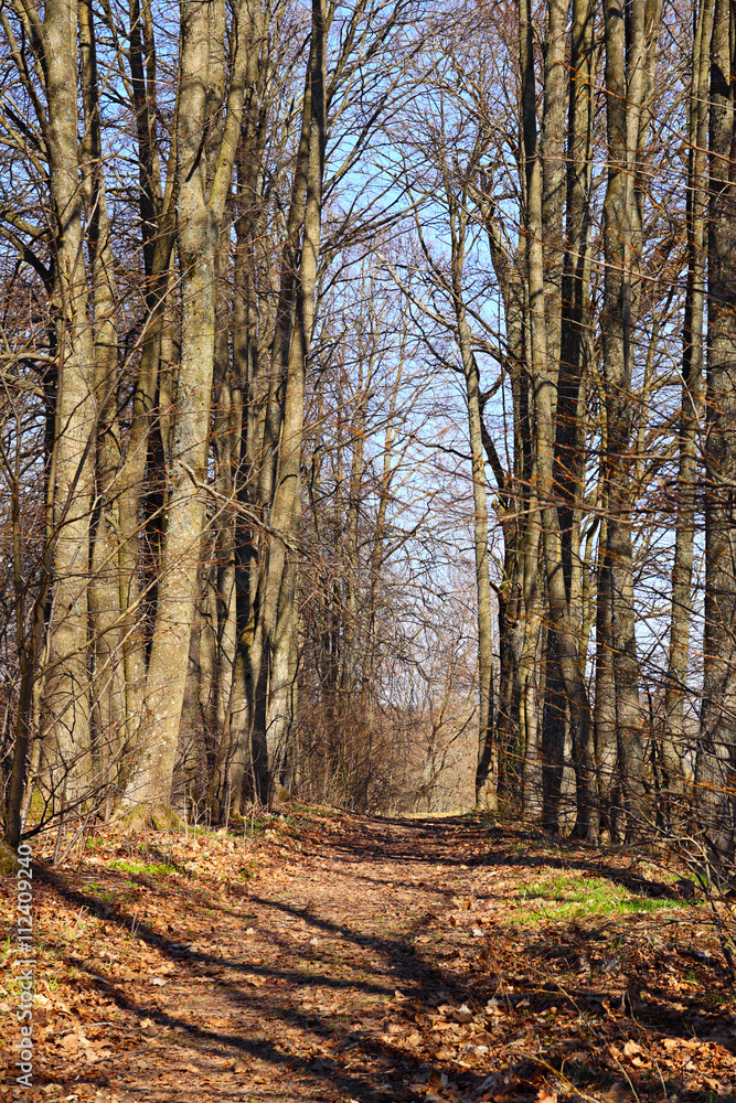 Pathway Pathway