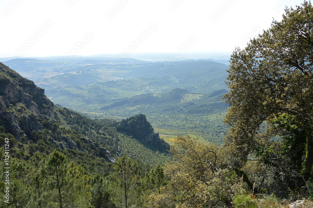 bosques y sierras