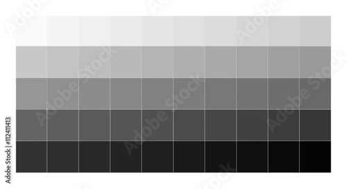 full range of gray tones from white to black