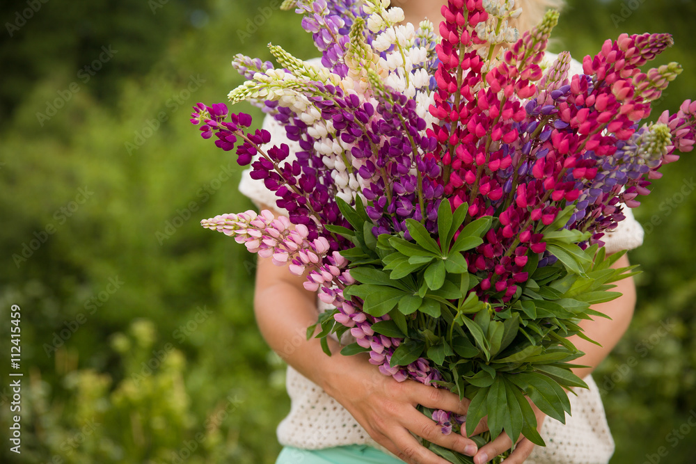Back view on young girl holding a bunch of beautiful lupine flowers. Purple and pink lupin bouquet. Womanl with bouquet of wild lupin flowers on sunny summer field. Back view on young girl holding a bunch of beautiful lupine flowers. Purple and pink lupin bouquet. Womanl with bouquet of wild lupin flowers on sunny summer field.