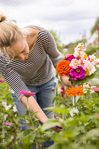 Fotografie Portrait of young woman picking flowers in the garden