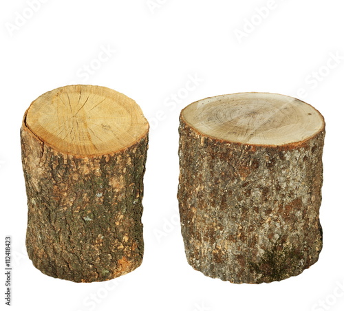 set log fire wood, stump isolated on white background