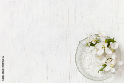 Top view on beautiful apple tree flowers in a glass plate on a white wooden background. Spring apple tree blossom. White flowers. Flat lay. Spring concept.