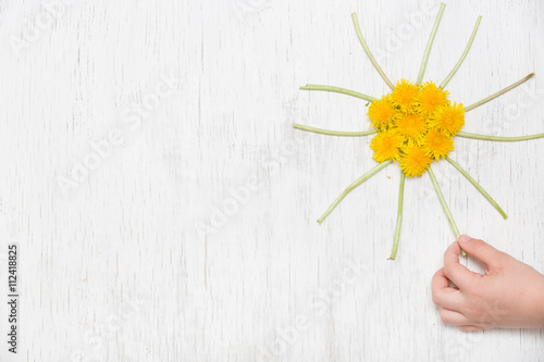 Kid's hand and small yellow sun made of dandelions on the white wooden background. Top view. Spring, Summer concept. Flowers on white background. Child making sun of dandelions.