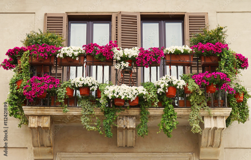 Beautiful Balcony Decorated with Flower Pots at Piazza Navona in Rome