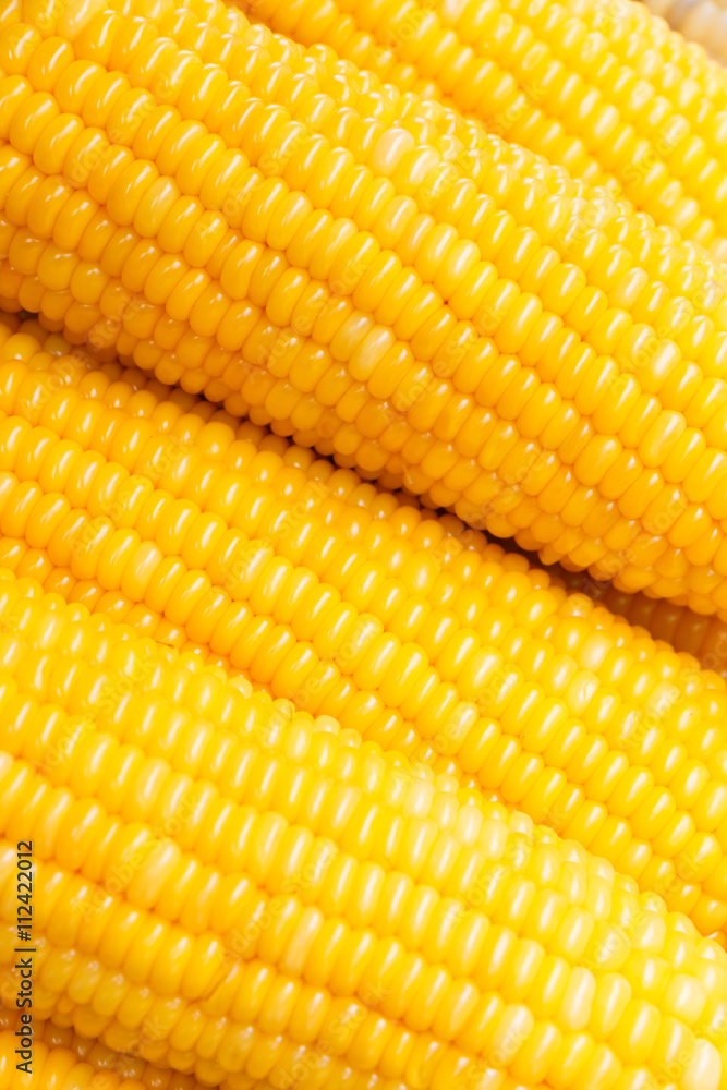 Fresh ear of corn