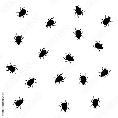beetle pattern