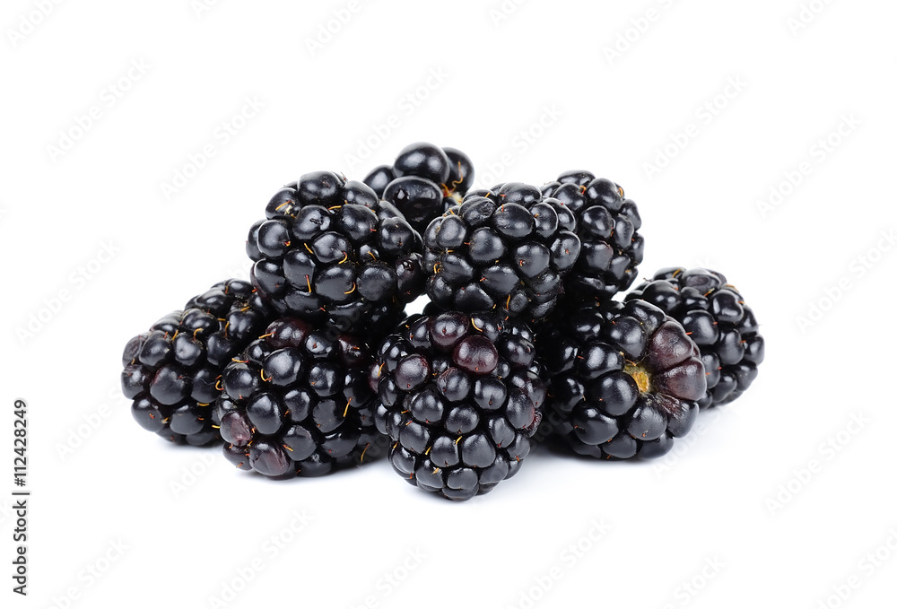 blackberry isolated on white bakcground blackberry isolated on white bakcground
