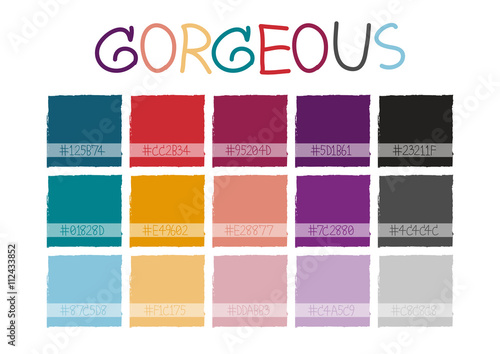 Gorgeous Color Tone with Code Vector Illustration