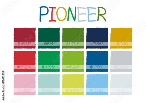 Pioneer Color Tone with Cod...