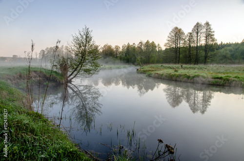 spring morning and the mist over the river