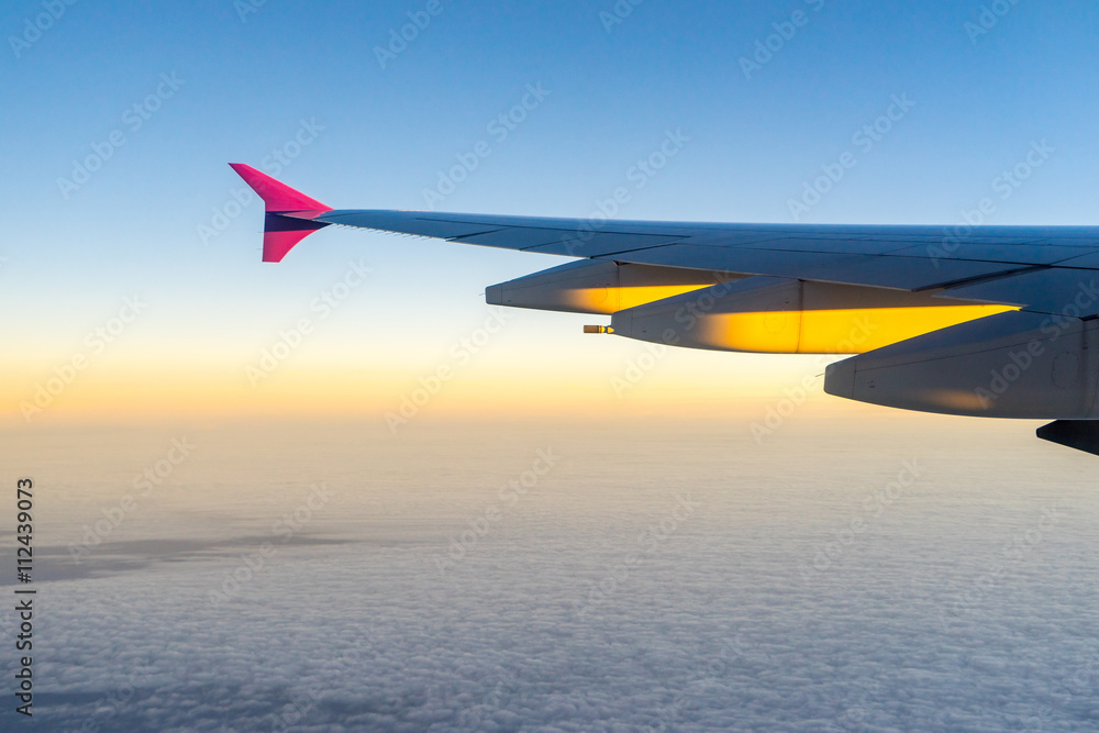 Fototapeta premium view of planet earth from an airplane through the window