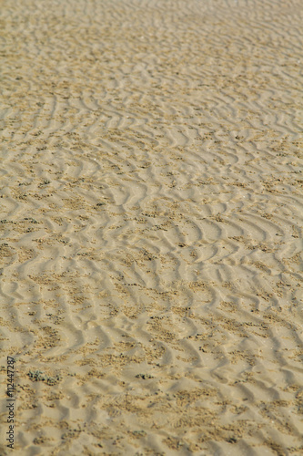 The beach and sand.