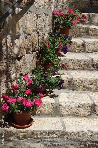 Blumen auf einer Stein Treppe in Hvar, Kroatien