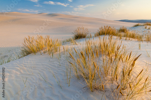 beautiful view of the coastal dunes