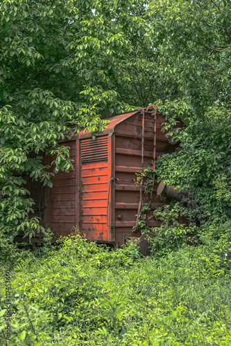 Railway wagon derelict captured by vegetation. © Roberto Sorin